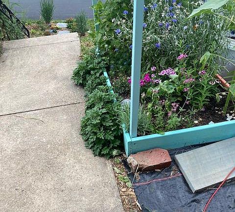 garden opposite the patio