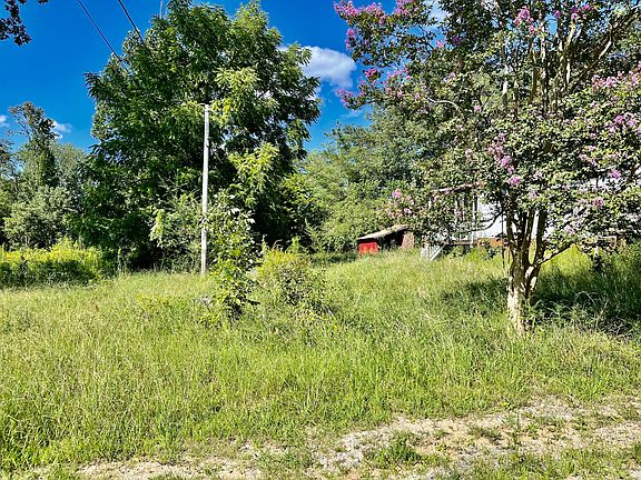 4th image of 127 Wayne Harris Dr