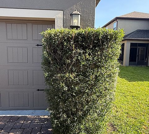4th image of 7779 Purple Finch St