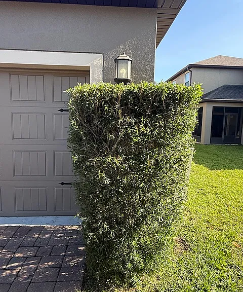 7779 Purple Finch St — Photo 4