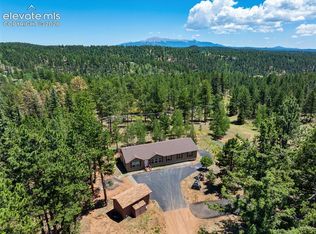 156 Fossil Creek Rd, Florissant, CO 80816