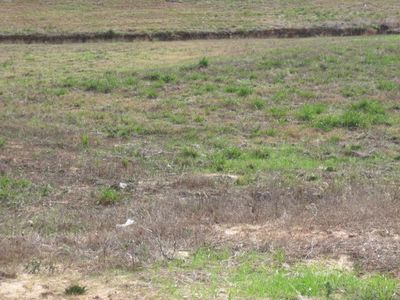23 Josie Dr, Ellisville, MS, 39437