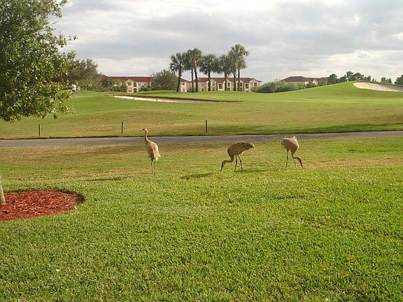 Daily Visitors