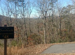 LOT 48 Brasstown Vw, Brasstown, NC 28902