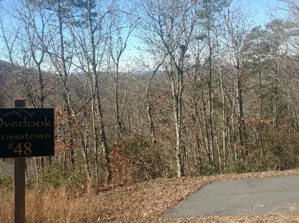 LOT 48 Brasstown Vw, Brasstown, NC 28902