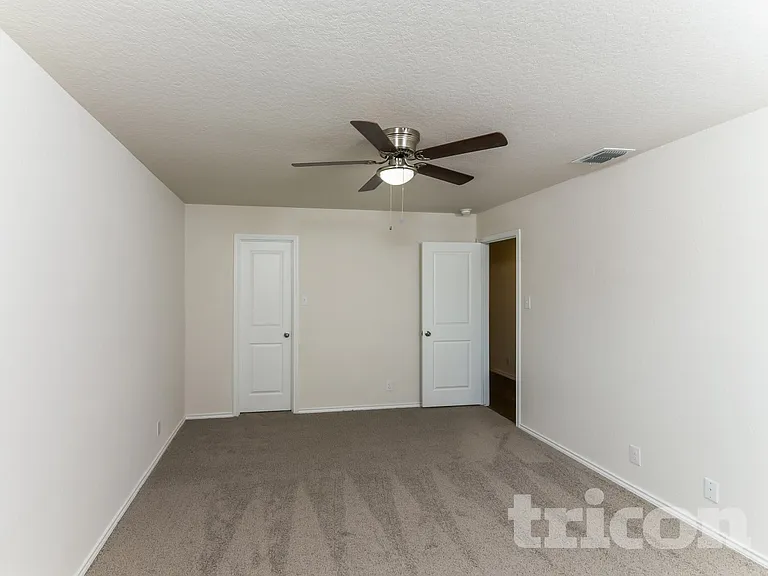 15406 Shortwing — Photo 7