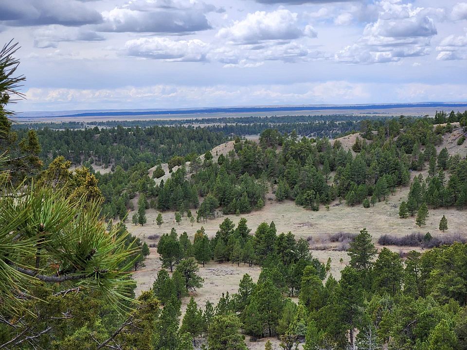 1st image of 55 Two Pipe Trl