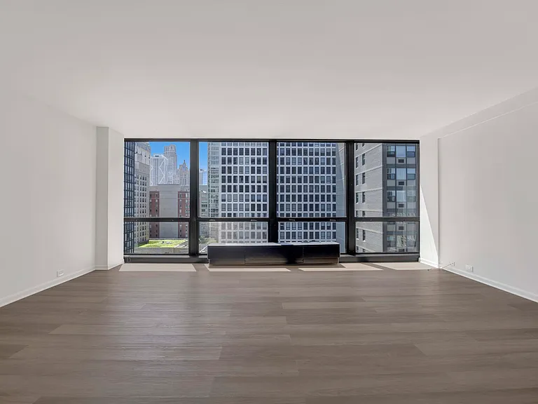 900 N Lake Shore Dr #1706 — Photo 5