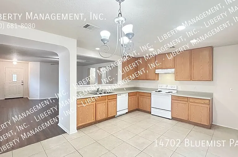 14702 Bluemist Pass — Photo 7