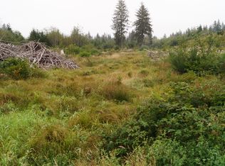 0 Off Of Wynooche Valley Rd, Montesano, WA 98563