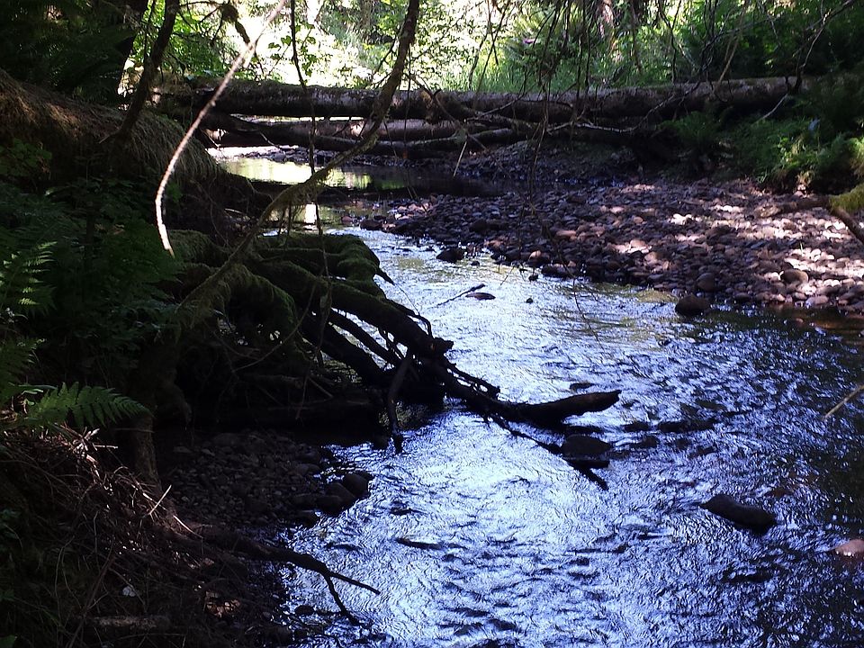 River running through 