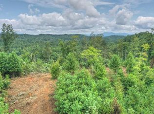 Higdon Creek Rd, Blue Ridge, GA 30513