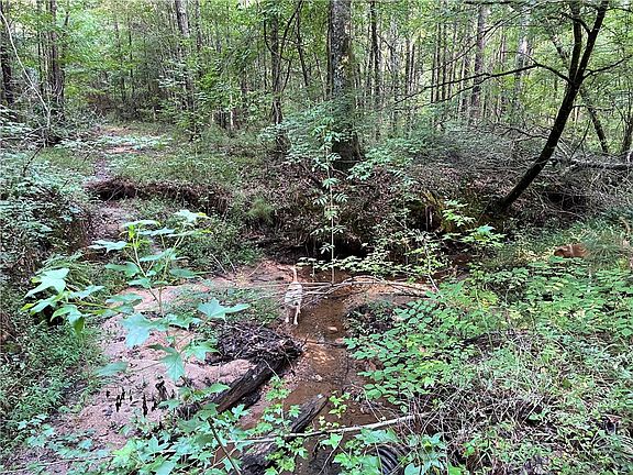 2nd image of 1035 County Road 450