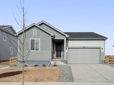 858 Mesic Ln, Windsor, CO, 80550