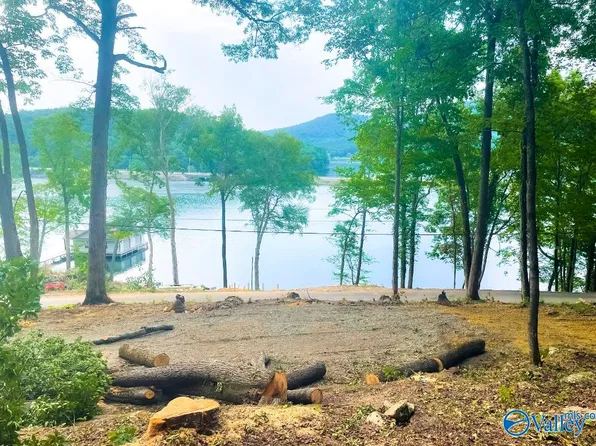 TRACT 5D Snug Harbor Rd, Grant, AL 35747