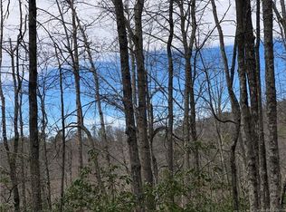 15 Fox Ln, Brevard, NC 28712