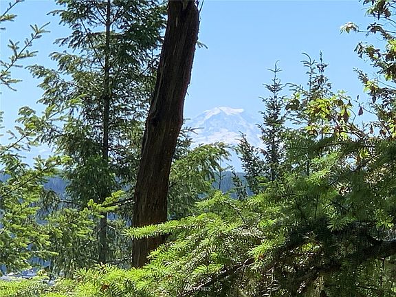 A close up of the view of Mount Rainier.