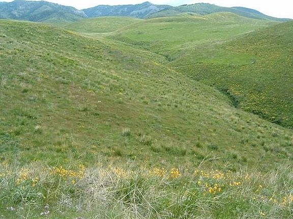 4th image of 1824 E Highway 30