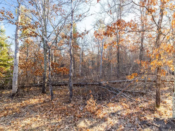 L3b3 Scenic River Dr, Baxter, MN 56425