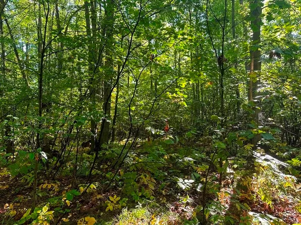 300-29 Easement Rd, Harrison, MI 48625