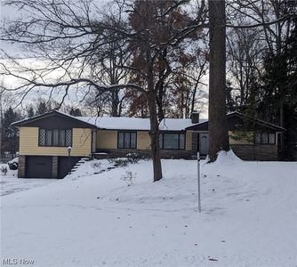 276 Paradise Rd, Painesville, OH, 44077