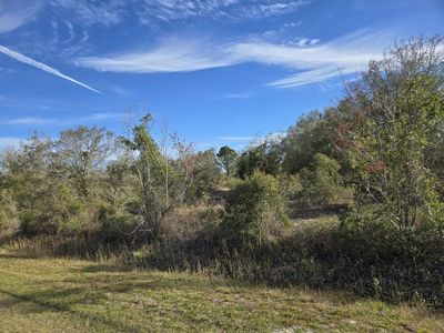 18726 NW 280th Street, Okeechobee, FL, 34972