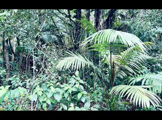 Road 6 Ooaa LOT 4190, Kurtistown, HI 96760