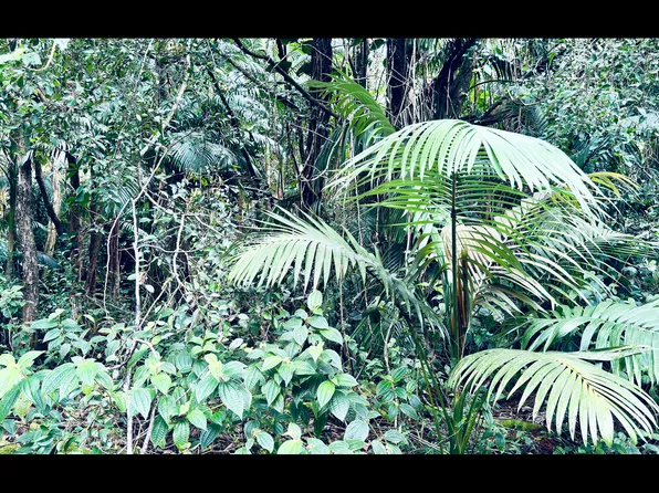 Road 6 Ooaa Lot 4190, Kurtistown, HI 96760
