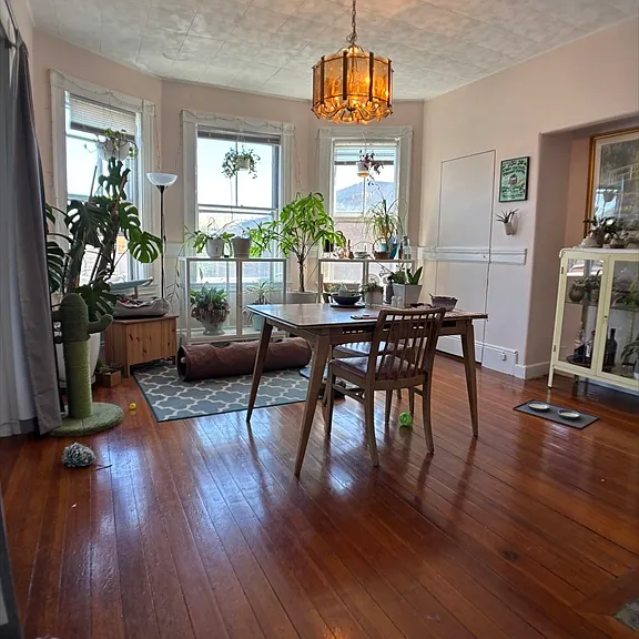 77 Bigelow Ave #2 — Photo 3