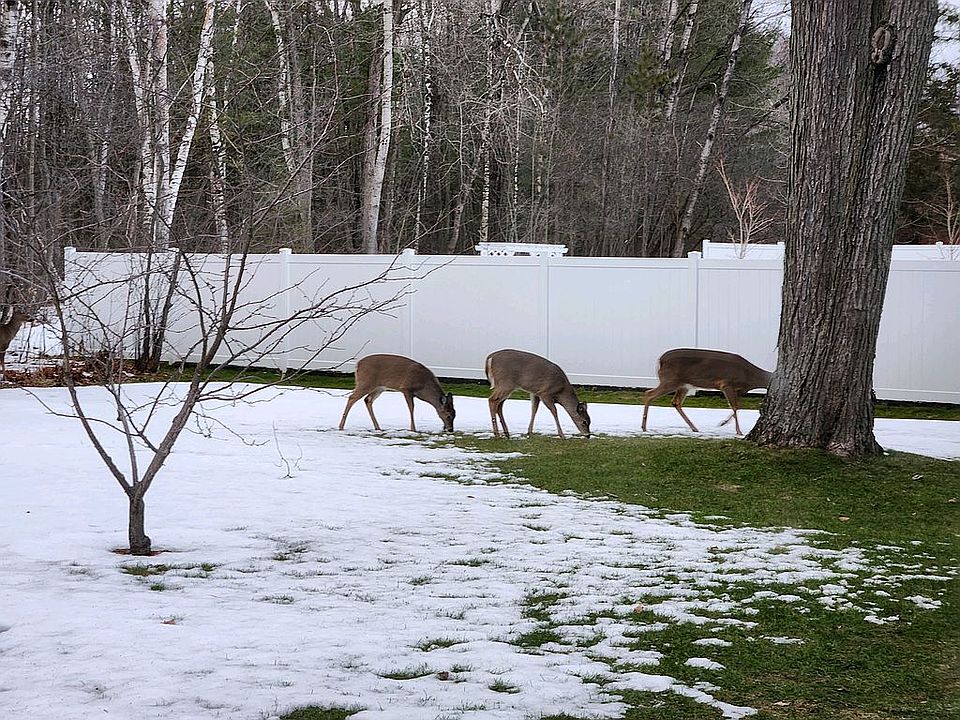 2534 Diamond Dr, Alpena, MI 49707 Zillow