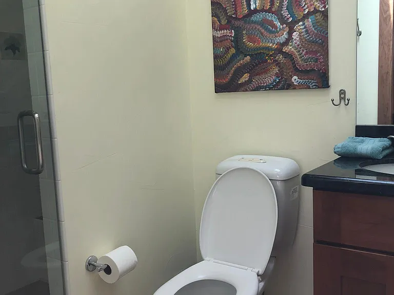 Fireplace Room Bathroom