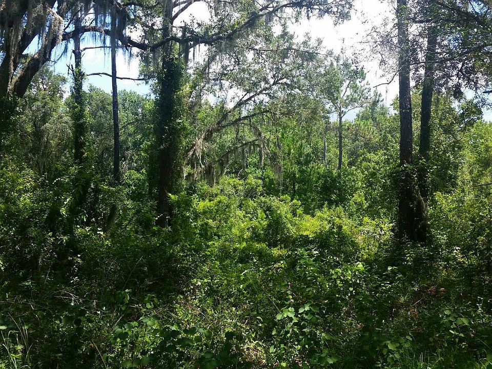 2nd image of 390 County Road 207a E