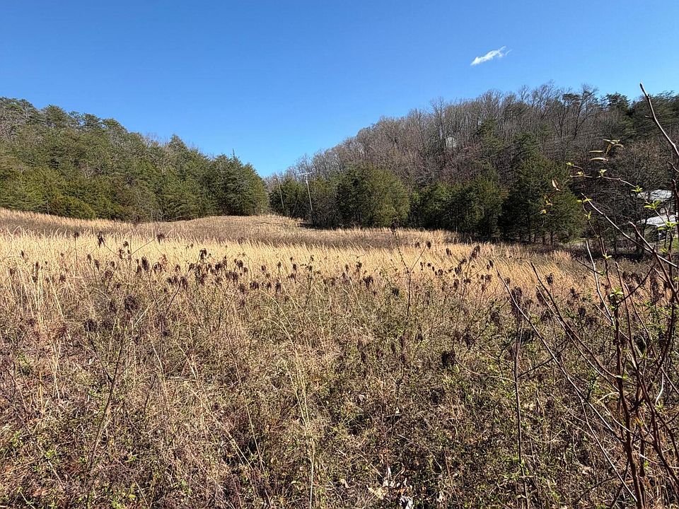 1st image of Shanks Gap Rd