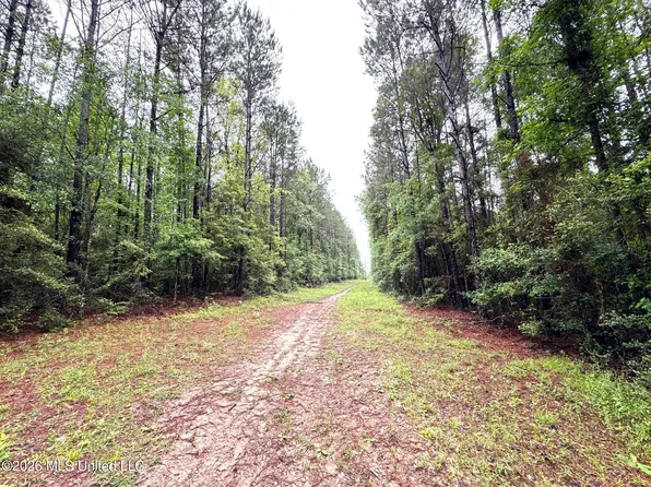 0 Emerald State Line Rd, Magnolia, MS 39652