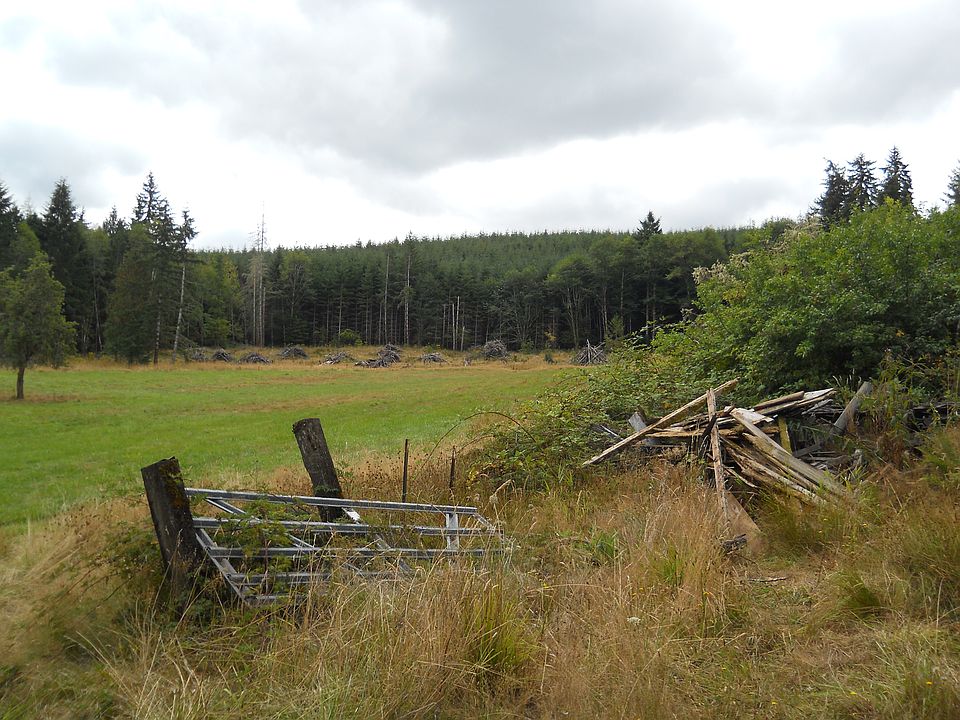 2nd image of 934 Pe Ell McDonald Rd