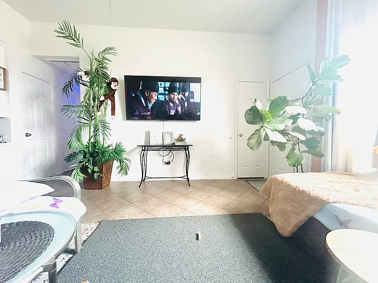 spacious and bright living area