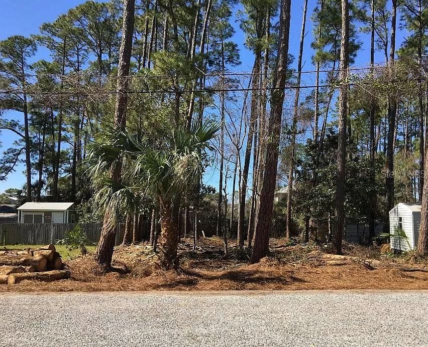 2nd image of 231 Pinetree Dr