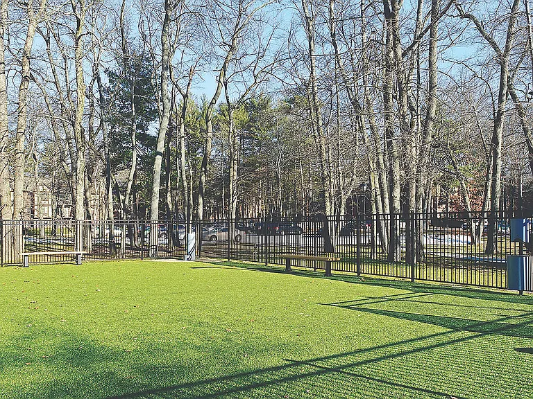 2003_161215_Dog_Park_edit