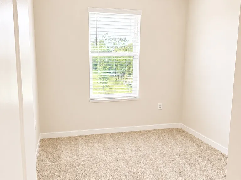 8201 Everly Preserve Dr — Photo 14