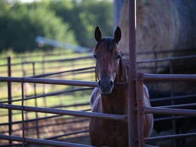 000 E Nn Highway, Milo, MO, 64767