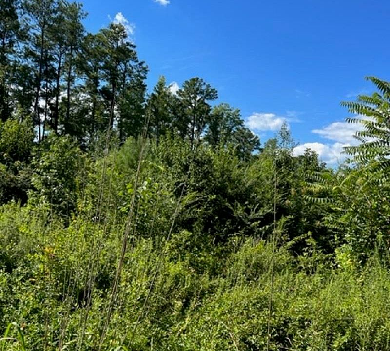 Old Macon Hwy, Macon, NC 27551 MLS 2468429 Zillow