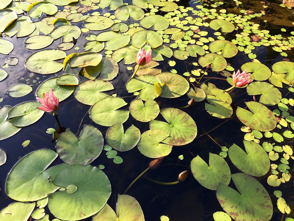 5420 Wynnefield Ave, Philadelphia, PA 19131 Zillow