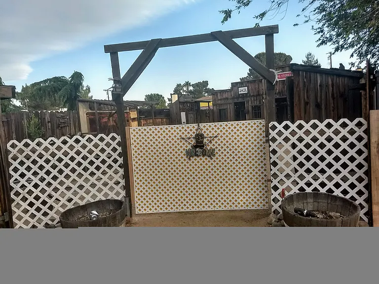 Back yard