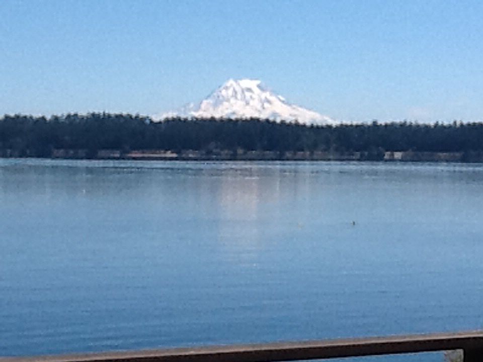 Mt Rainier view from house