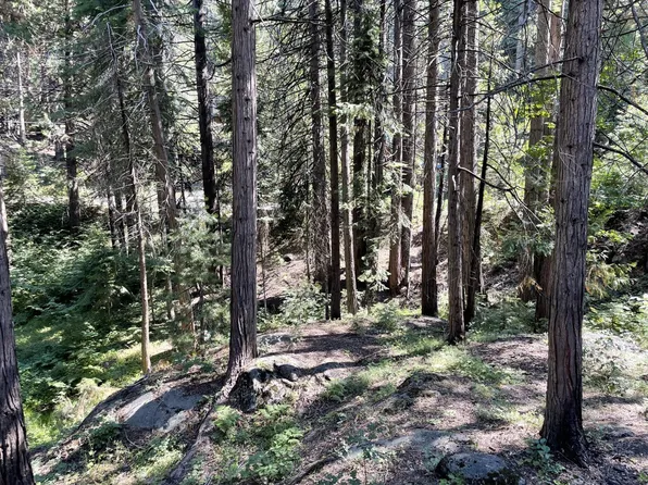 7671 Forest Dr, Fish Camp, CA 93623