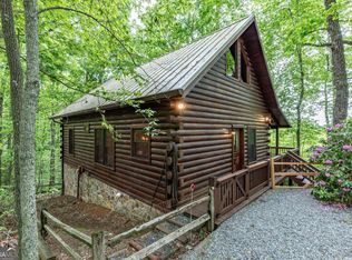 144 Little Bushy Head Rd, Blue Ridge, GA 30513