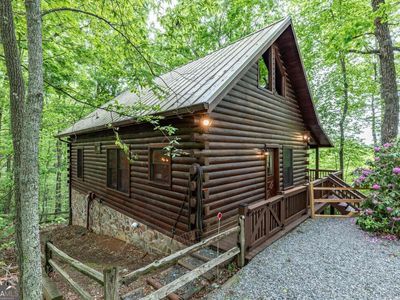 144 Little Bushy Head Rd, Blue Ridge, GA, 30513