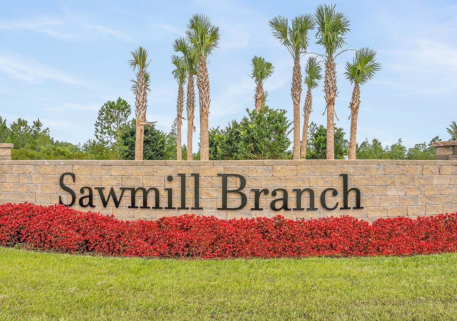 Sawmill Branch Express by D.R. Horton Jacksonville South in Palm