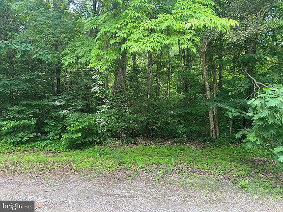 3rd image of 5517 Forest View Dr