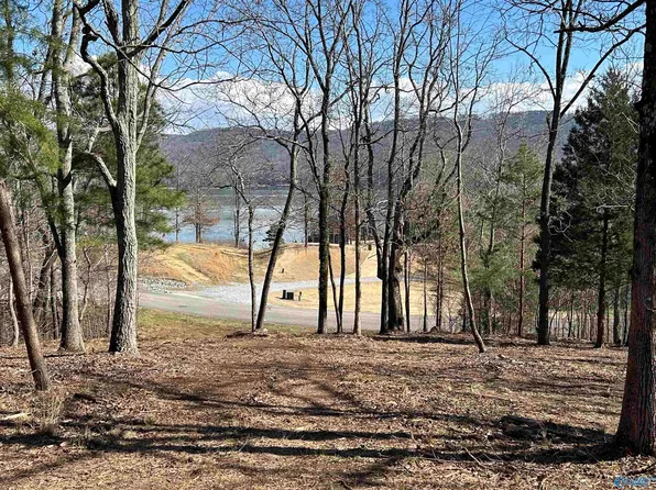 LOT 149 Lookout Mountain Dr, Scottsboro, AL 35769